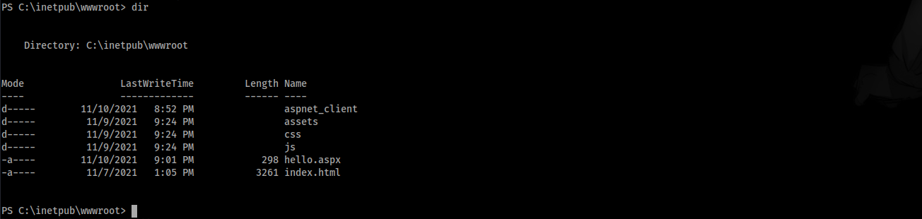 inetpub2