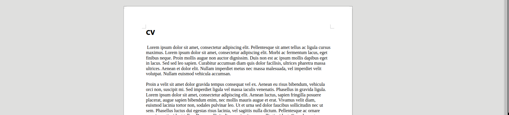 Lorem Ipsum